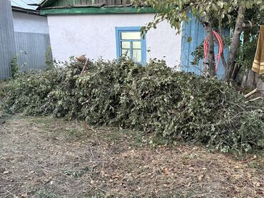 оборудование для пиццы: Отун