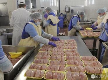 работа новопокровке: 🚨 РАБОТА С ПРОЖИВАНИЕМ! 🚨 👨‍👩‍👧 Приглашаем мужчин, женщин и семейные