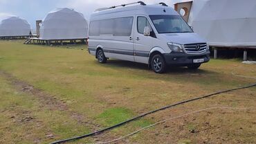 Трансфер, пассажирские перевозки: Каракол, Кордай КПП, По городу Бус | 18 мест — 8