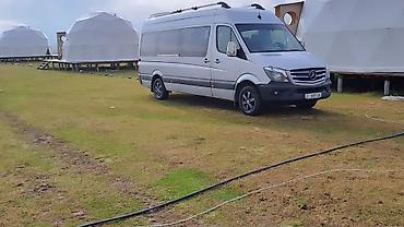 Пассажирский бус на заказ: Бус на заказ — 2