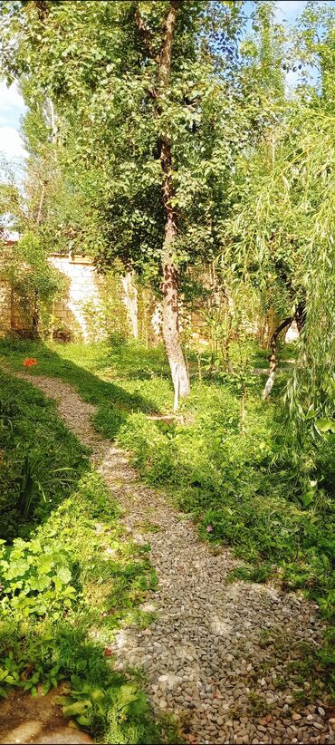 Günlük kirayə evlər: 90 kv. m, 3 otaqlı, İnternet, Telefon, Qaz — 3