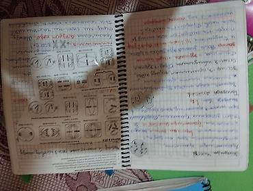 defter üzü: Конспекты по всем темам и классам по биологии. Если купите больше двух — 5