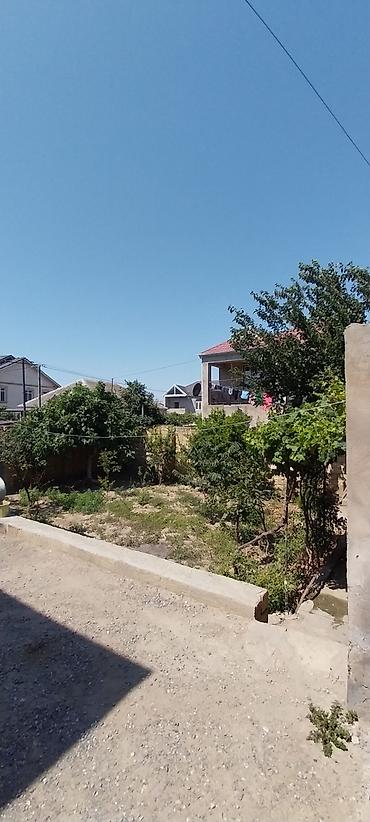 masazırda torpaq: Kupça (Çıxarış) — 2