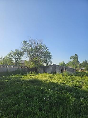 кафе ош: 600 соток, Курулуш, Кызыл китеп — 2