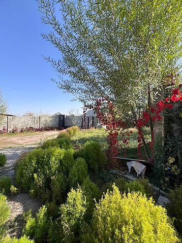 Продажа квартир: 5 и более комнат, 150 м² — 2