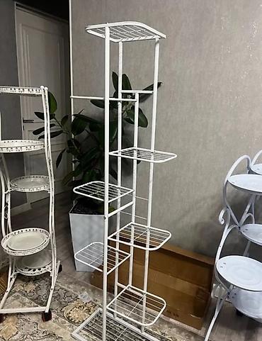 Фикусы: Фикус Бенджамина в напольных кашпо - Два взрослых деревца в отдельных — 35