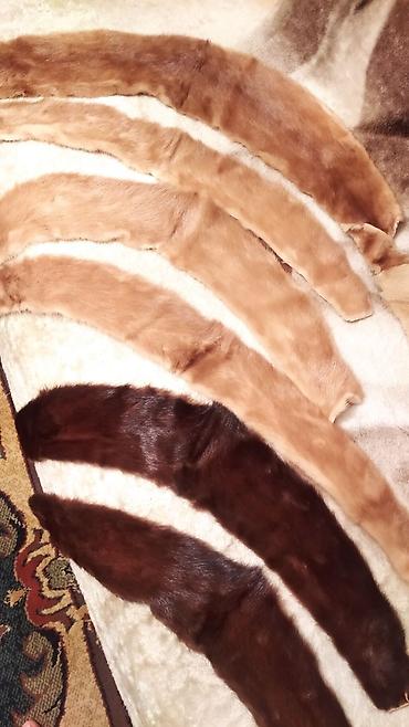шкурки норки: Продаю шкурки норки и каракуля. Цена договорная. Район Таатана — 1