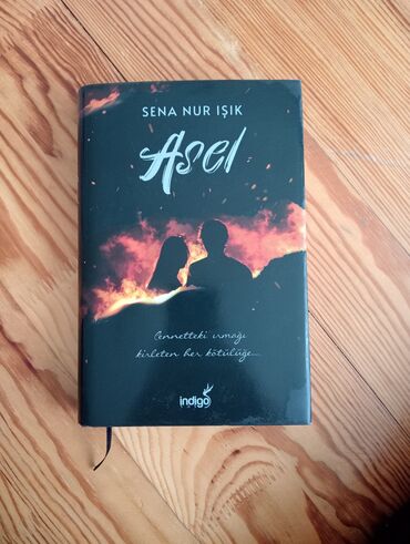 məntiq kitabı pdf: Sena Nur İsik - Asel kitabi