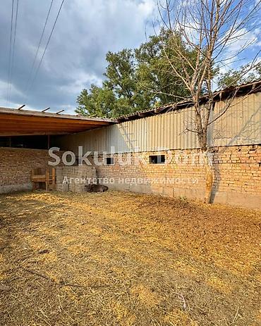 Продажа коттеджей и домов: 🏠Продается дом с большим сараем для скота в с. Сокулук 🟡 Комнаты: 4 🟡 — 5