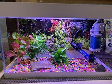 akvarium işığı: Dördbucaq akvarium, Boş, 15 l, Ödənişli çatdırılma, Ünvandan götürmə — 1