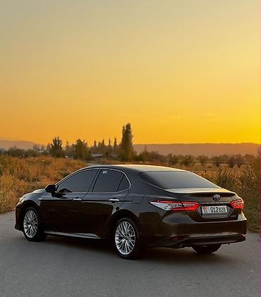 задние фонари камри 70: Toyota Camry: 2019 г., 2.5 л, Вариатор, Гибрид, Седан — 4