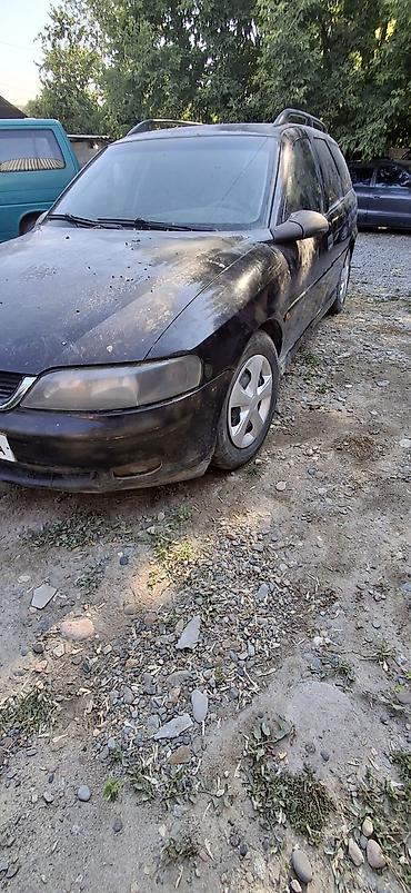 фары на опель вектра б: Opel Vectra: 2000 г., 1.6 л, Механика, Бензин, Универсал — 3