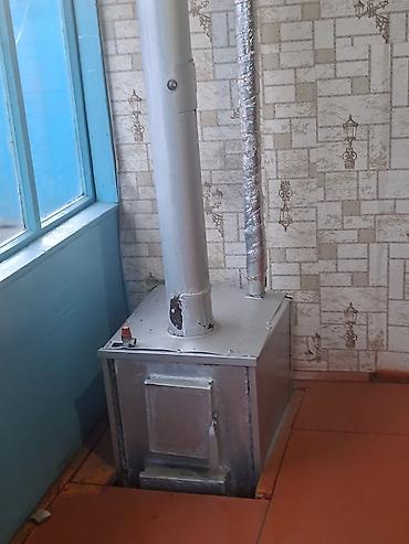 Другие фруктовые и ягодные растения: Продаётся уютный дом на Иссык- Куле в селе Ананьево. 2 спальни — 4