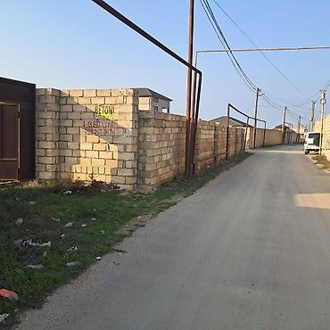 sabuncuda: 12 sot, Tikinti, Kupça (Çıxarış) — 8
