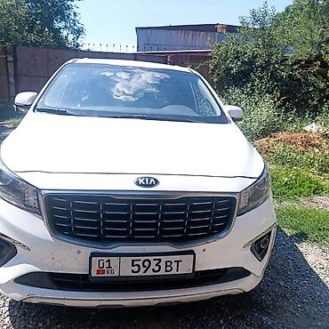 Такси для туристов — путешествуйте с комфортом! 🚖✨ Прилетели в город