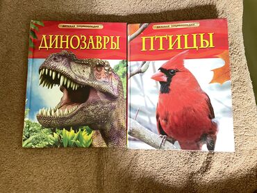 книга про животных: Три детские энциклопедии про птиц и динозавров состояние новые -