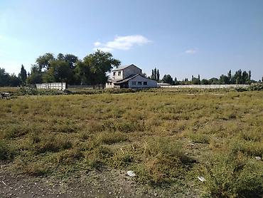 речк: Здание, Действующий 240 м² — 4