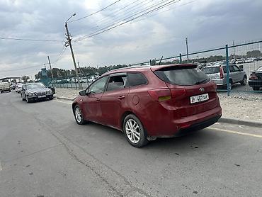 210 универсал: Kia Ceed: 2014 г., 1.6 л, Механика, Бензин, Универсал — 3
