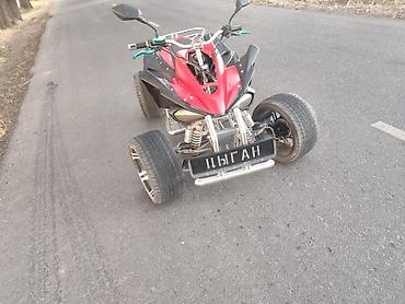 Квадроциклы: Квадроцикл Бензин, 250 куб. см, Взрослый at lalafo.kg — 9 Квадроциклы: Квадроцикл Бензин, 250 куб. см, Взрослый — 9