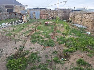 Torpaq sahələrinin satışı: 4 sot, Tikinti, Mülkiyyətçi — 4