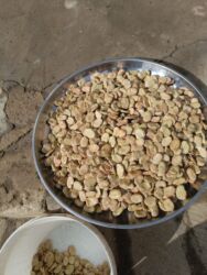 Варенье: Başlıq: Paxla Təsvir: Təbii qurudulmuş paxla dənləri. Təmizlənmiş və