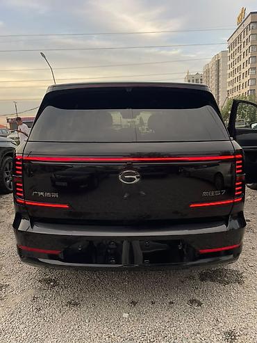 GAC: *GAC S7 | Black Edition 27 модельный ряд* Доводчики дверей В — 13