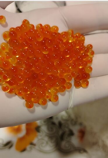 patchi шоколад цена баку: Forel kürü sifarişi qebul olunur
200 qr 15 azn
200 qr 15 azn