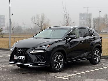 Lexus: Lexus NX: 2019 г., 2 л, Бензин — 2