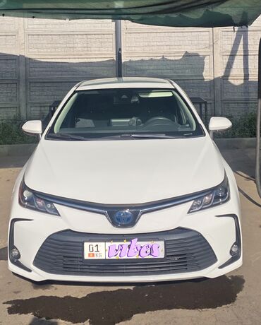 электромобиль neta: Toyota Corolla: 2019 г., 1.8 л, Вариатор, Гибрид, Седан