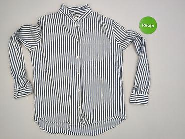 envii trousers: Envii, Koszula damska, rozmiar 2XL — 2