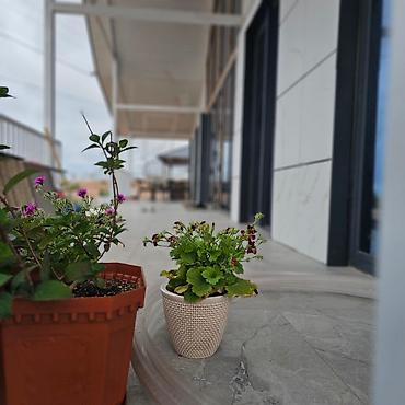 Долгосрочная аренда домов: 240 м², 6 комнат, Утепленный, Теплый пол, Видеонаблюдение — 67