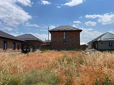 участок рухый мурас: 4 соток, Красная книга — 1