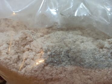 Boje i lakovi: Deko zid unutrašnji premaz (za oko 3m2) sa specijalnim valjcima za — 5