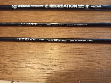 Ostali proizvodi za sport i razonodu: Luk sa pet strela. Luk je napravljen od metalnog gibnja, presvučen — 6