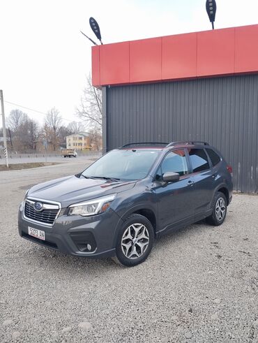 хюндай авто: Subaru Forester: 2020 г., 2.5 л, Вариатор, Бензин, Кроссовер