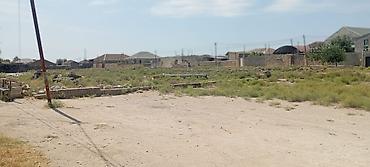 Tikinti