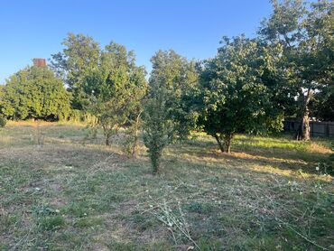 Torpaq sahələrinin satışı: 10 sot, Tikinti, Mülkiyyətçi, Kupça (Çıxarış) — 9