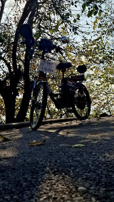 qizlara velosiped: Elektrik velosipedi – şəhər və qısa məsafələr üçün rahat və səssiz