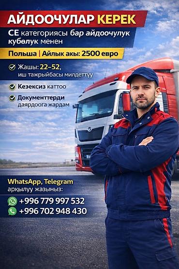 польский язык: Требуется Водитель грузового транспорта, Категория прав (CE), На фуру, Официальное трудоустройство, Мужчина — 2