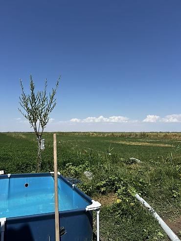 Продажа участков: 1300 соток, Для сельского хозяйства, Тех паспорт, Договор купли-продажи — 9