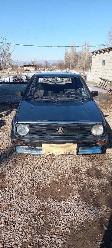 Volkswagen: Volkswagen Golf: 1989 г., 1.8 л, Механика, Бензин, Хэтчбэк