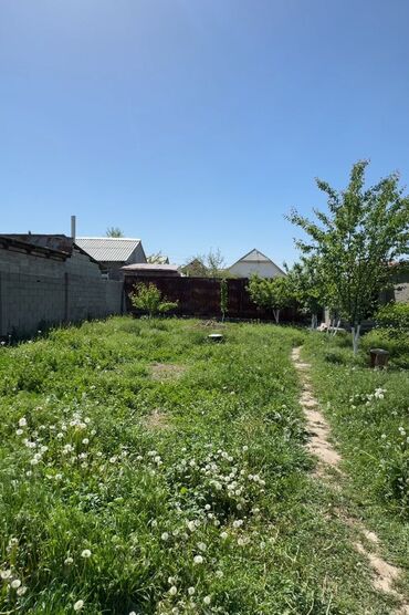 земельный участок в караколе: 4 соток, Курулуш, Кызыл китеп, Техпаспорт, Сатып алуу-сатуу келишими