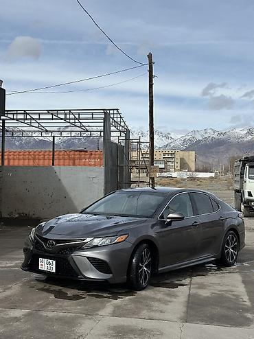 Toyota: Toyota Camry: 2019 г., 2.5 л, Автомат, Бензин, Седан — 2