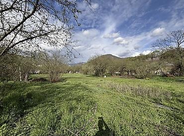 pirşaği torpaq: Tikinti, Mülkiyyətçi, Kupça (Çıxarış) — 2