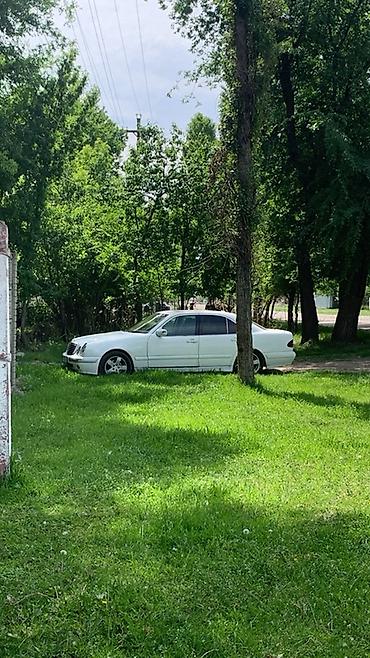 мото фила: Mercedes-Benz E-Class: 2000 г., 3.2 л, Автомат, Дизель, Седан — 1