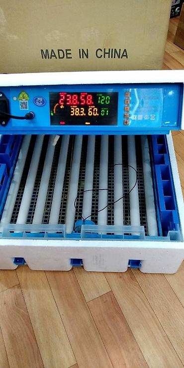 Kənd təssərüfatı avadanlığı: Inkubator inkubatorlarin birinci əl satişi mağazamizda olan inkubator — 2