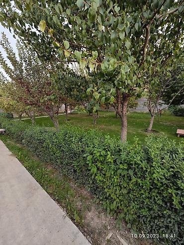 Продажа коттеджей и домов: Продам частный дом! Район: Начало ул. Шералиева Ул. Бишкек-125 — 14