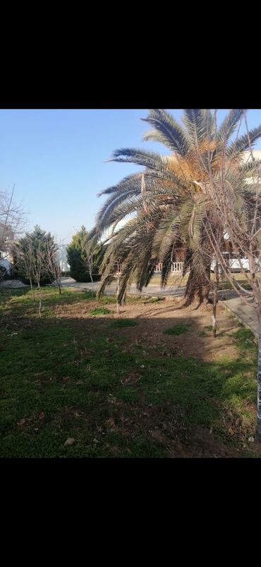 Bağbanlar: Bağban, 43 il, 5 ildən artıq təcrübə — 5