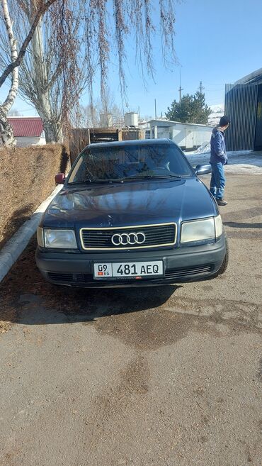 Audi: Audi 100: 1993 г., 2.6 л, Механика, Бензин, Седан