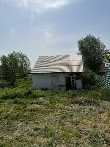 советский скрябина: 5 соток, Для сельского хозяйства, Красная книга, Тех паспорт